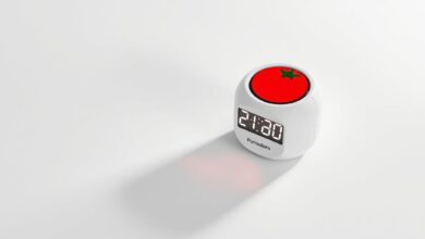 Timer Pomodoro Offline